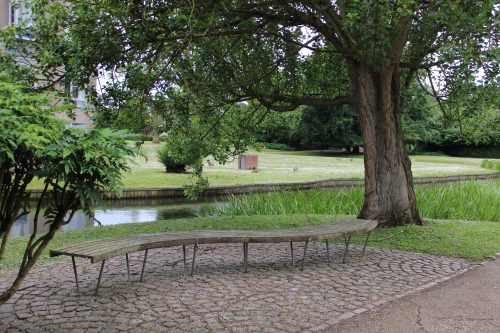 Dark brown wooden bench with greenery background