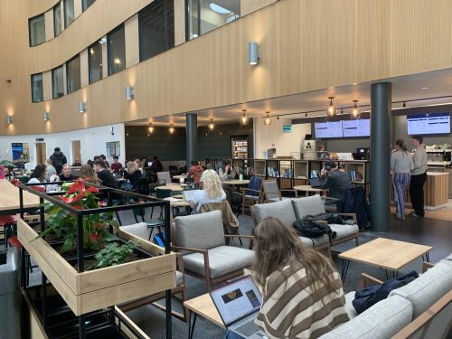 A picture of the Ron Cooke Hub Cafe - people are studying, chatting and eating food