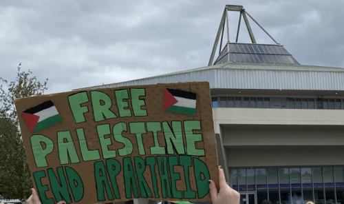 Sign holding 'Free Palestine from Apatheid' being held up on a light brown cardboard sign in green writing