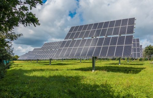 View of solar pannels on green grass with a blue sky on a sunny day